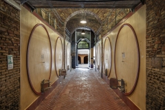 DSC4240Cantina-Castello-di-Torre-in-Pietra-©-antonio-idini.-JPG
