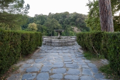 DSC4383-Cantina-Castello-di-Torre-in-Pietra-©-antonio-idini