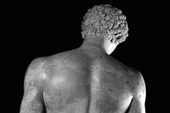 fotografia di opere d'arte&Statua Antineoo Capitolino Musei Capitolini Roma