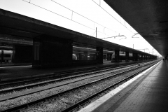 DontMisstheTrain_BN